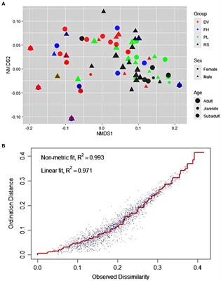 Blowing the lid off! Bottle-directed, extractive foraging strategies in synurbic bonnet macaques Macaca radiata in southern India